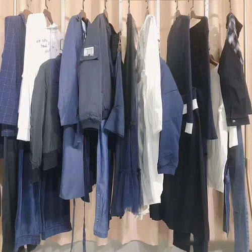 汕頭2021年春夏新款品牌折扣女裝尾貨批發(fā)供應(yīng)商